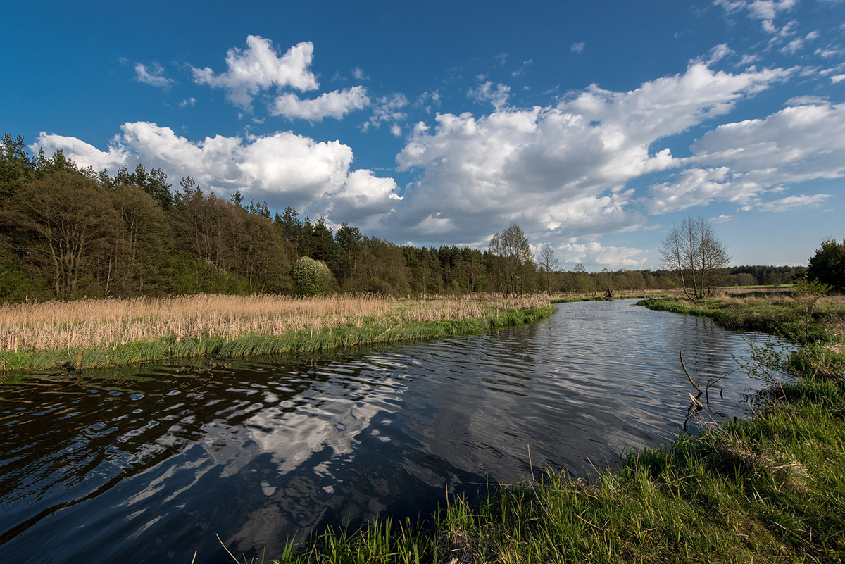 Landschaft in Belarus