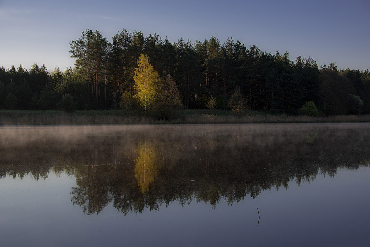Morgenstimmung am Land