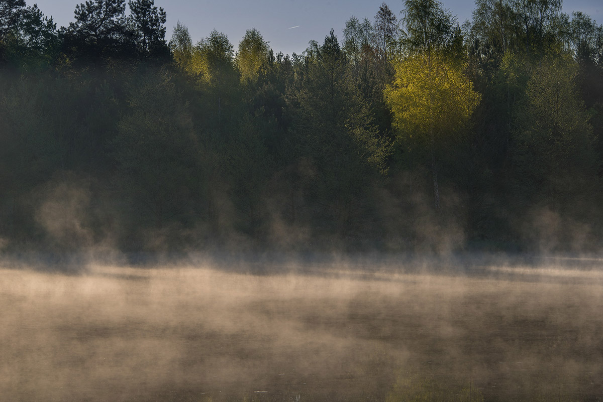 Morgenstimmung am Land