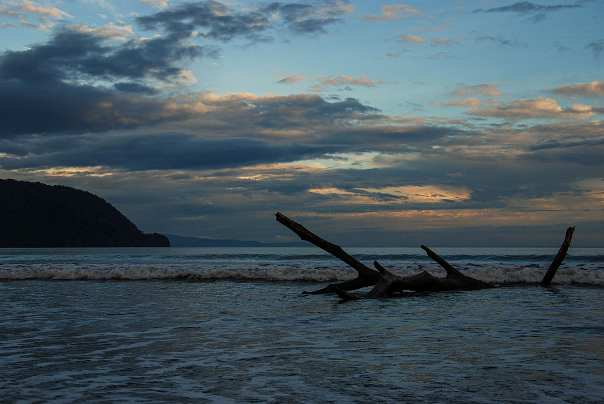 Tambor Beach