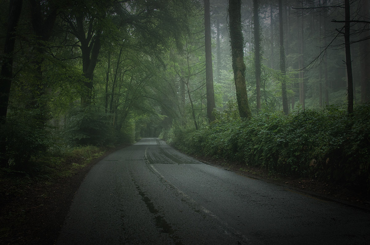 Wicklow Mountains