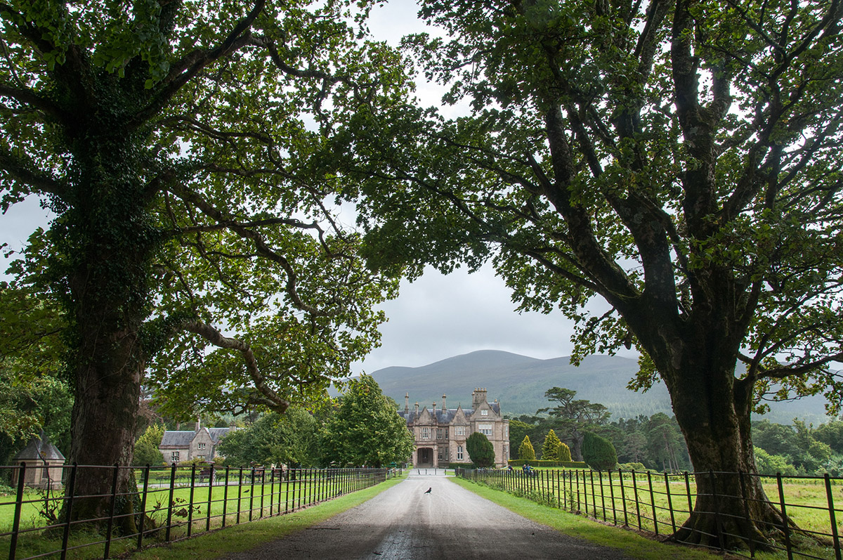 Muckross House, Killarney