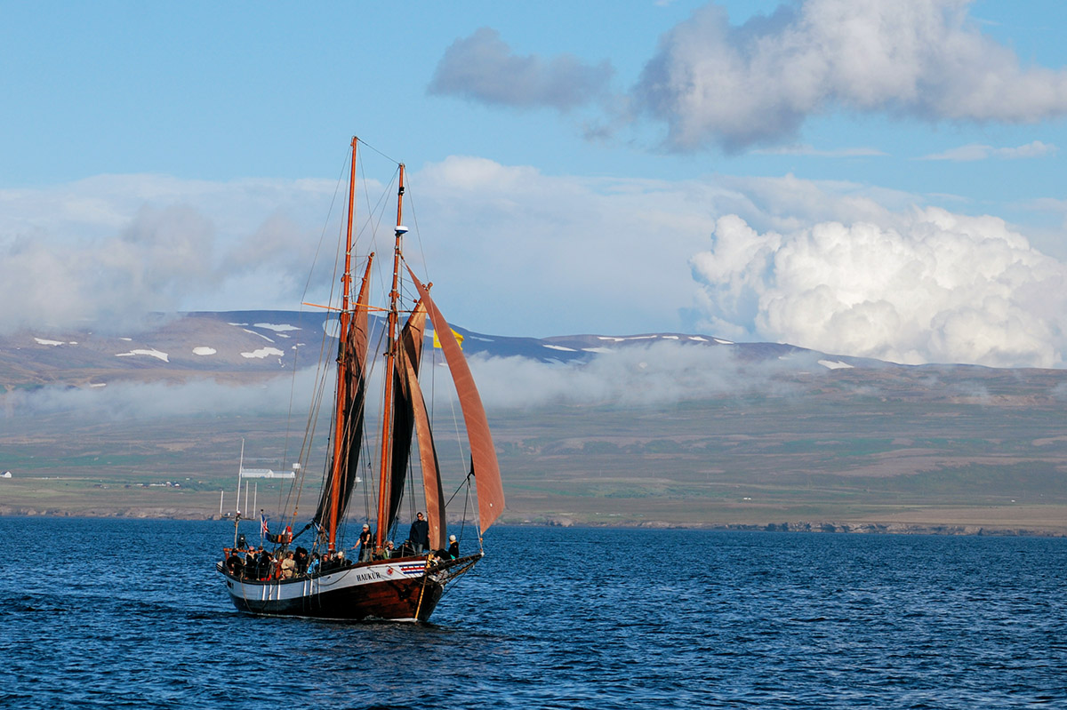 In der Bucht vor Husavik, Nordisland