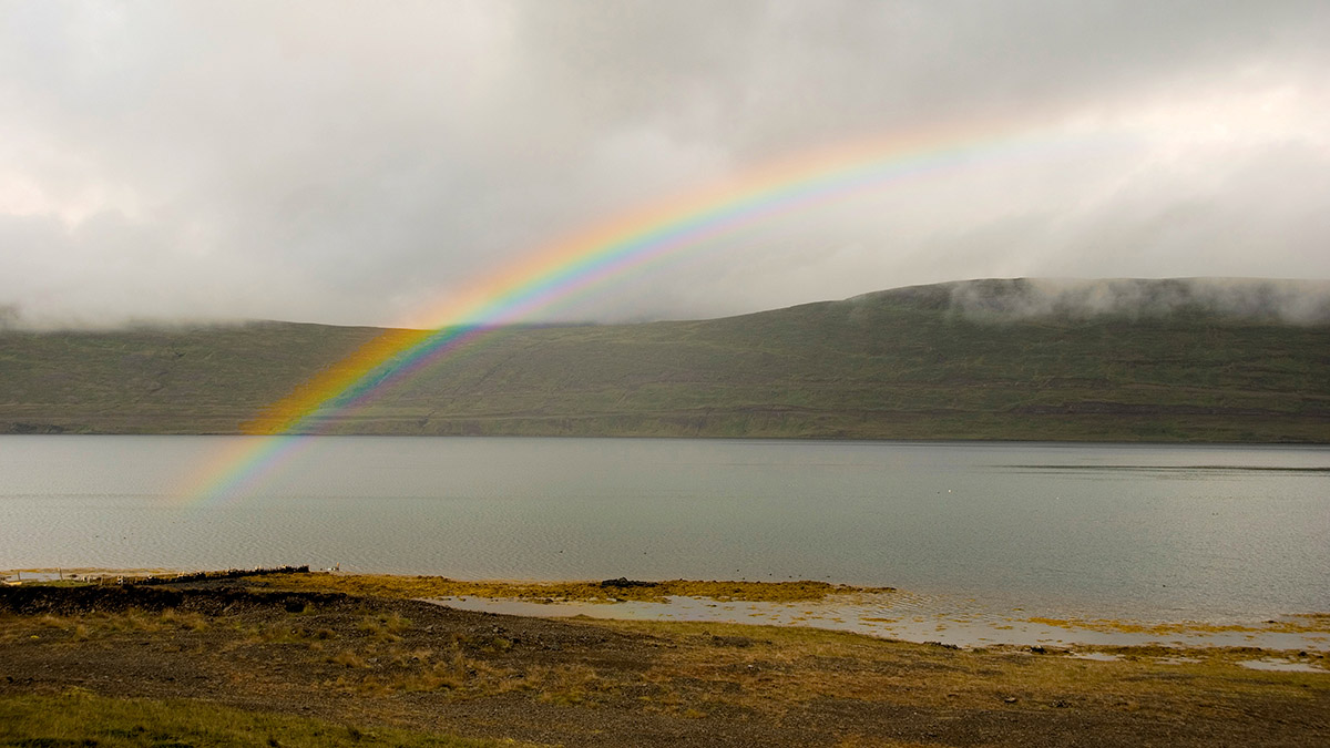 In den Westfjorden