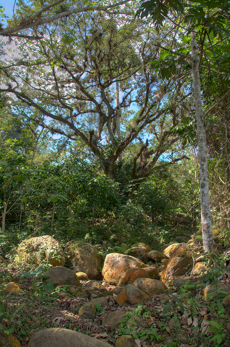 in der Sierra Maestra