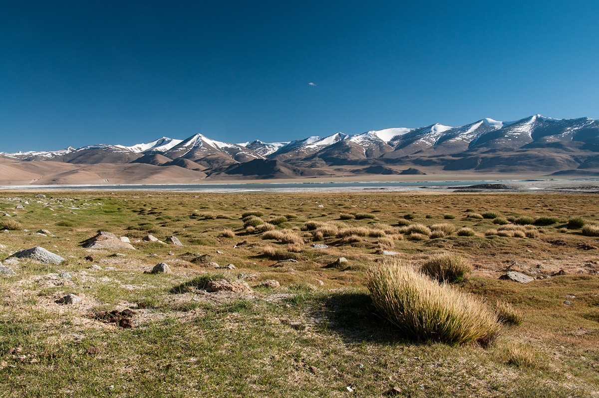 Tsokar-See