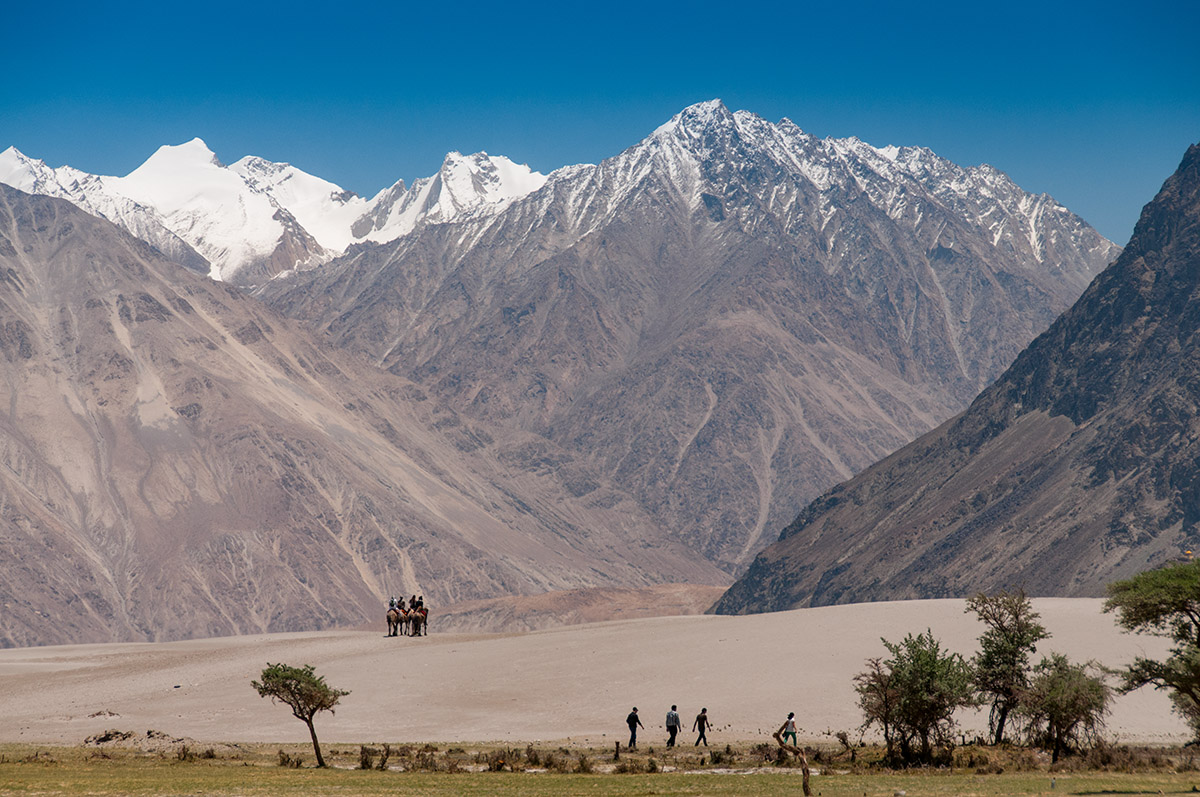 Wüstenlandschaft im Nubra-Tal, einem Teil der ehemaligen Seidenstraße