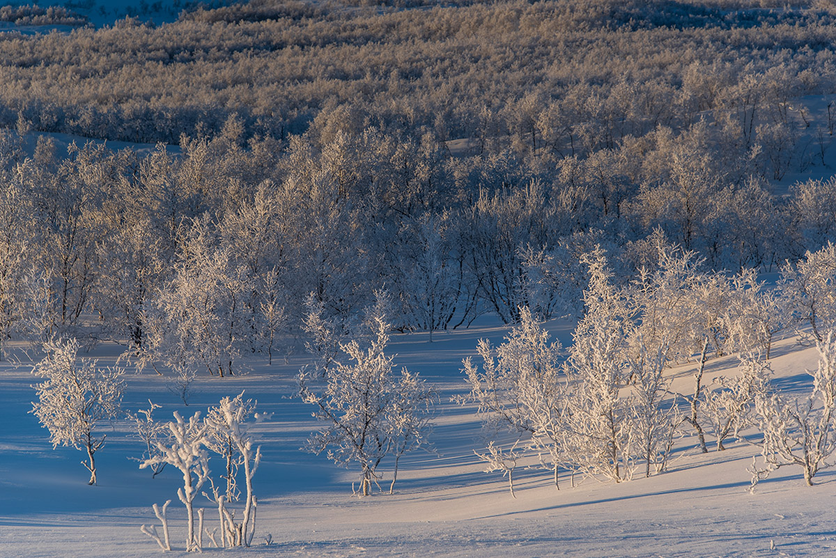 auf der Fahrt von Norwegen nach Finnland