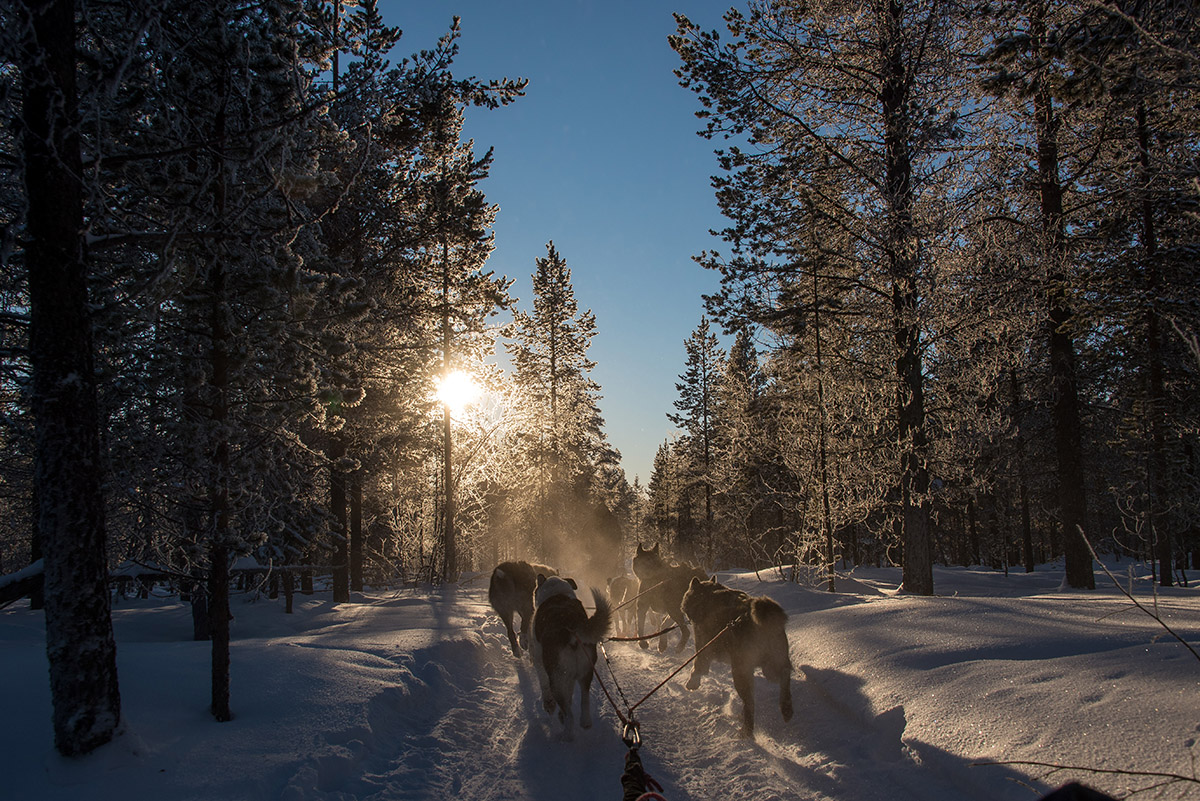 wunderbare Winterlandschaft