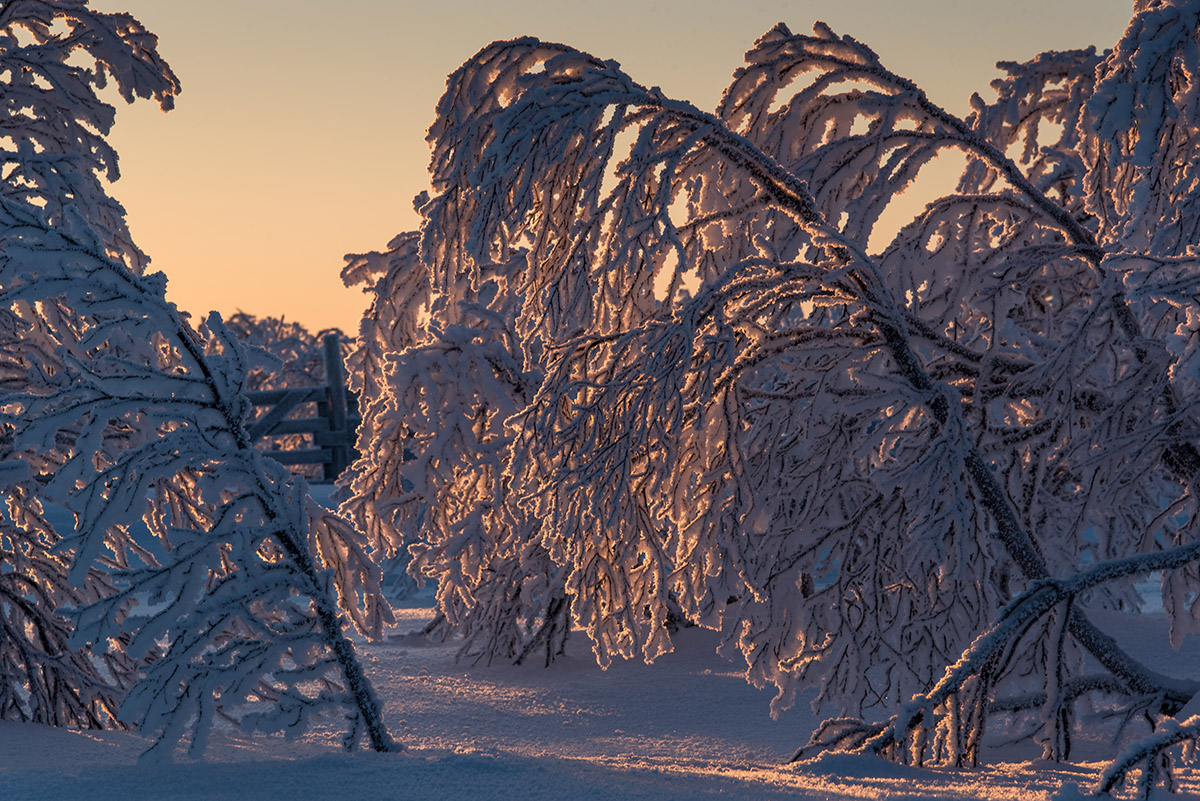 Sonnenuntergang bei Enontekiö
