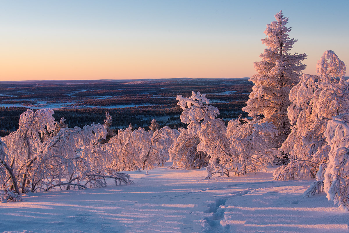 Blick in die Weiten Lapplands