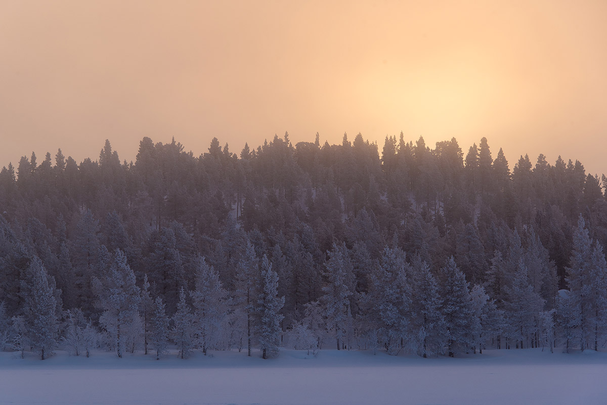 Morgenstimmung bei Enontekiö