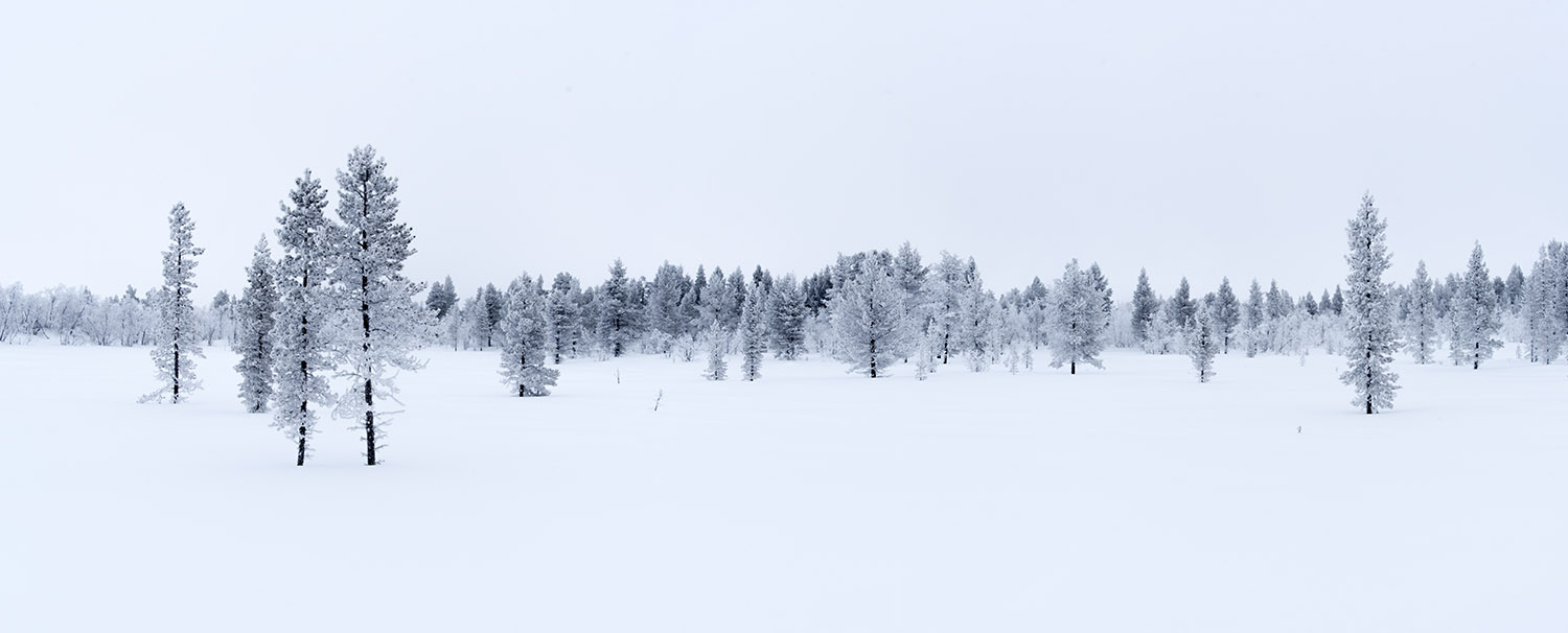 "reduzierte" Winterlandschaft in Lappland