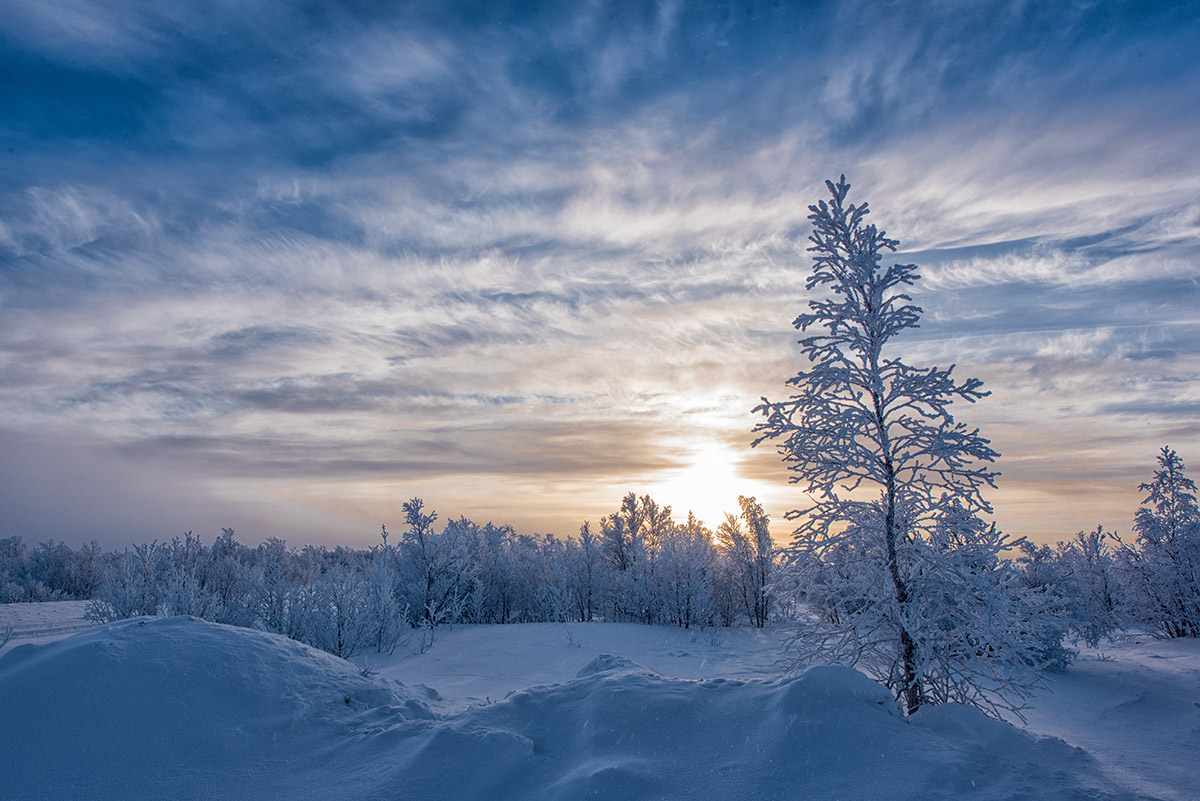 Winter Wonderland