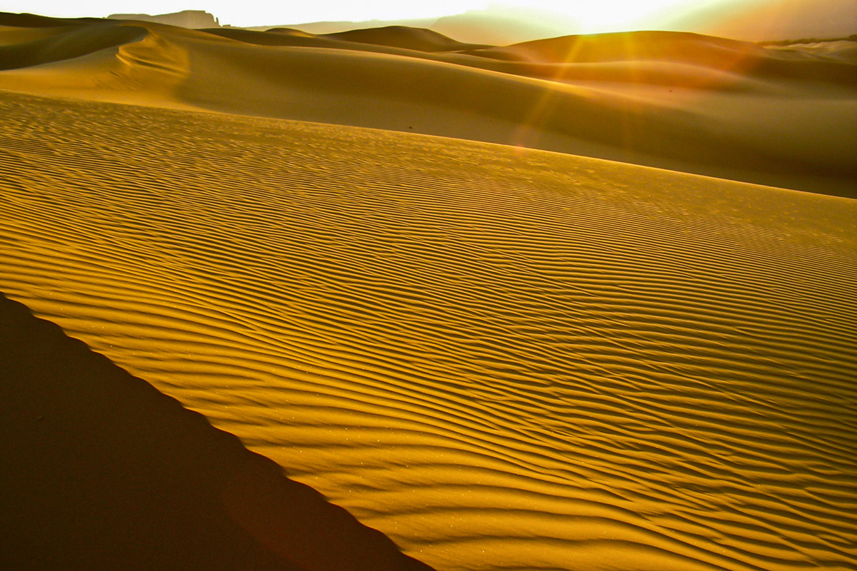 Die Sahara