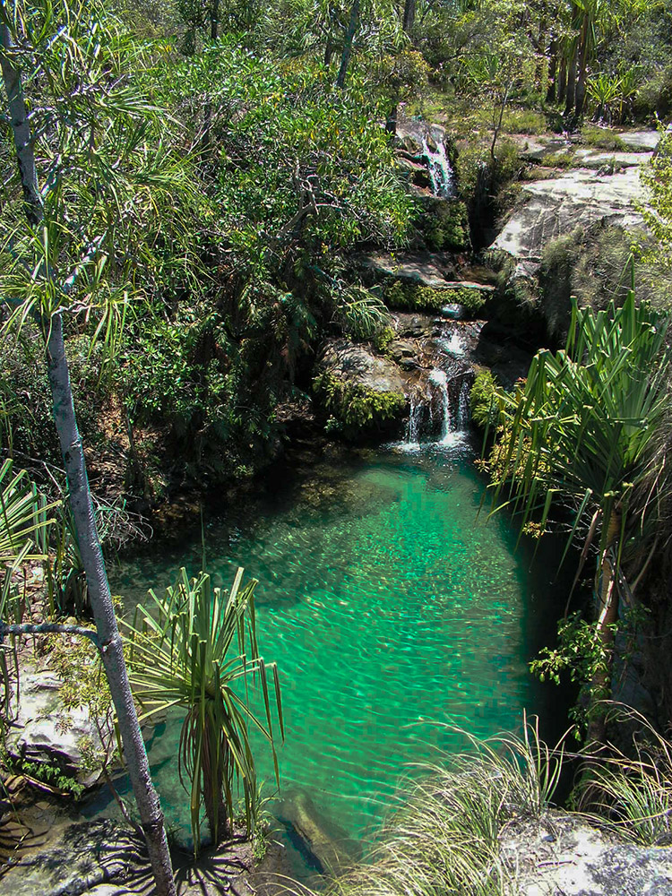 Oase im Isalo Nationalpark