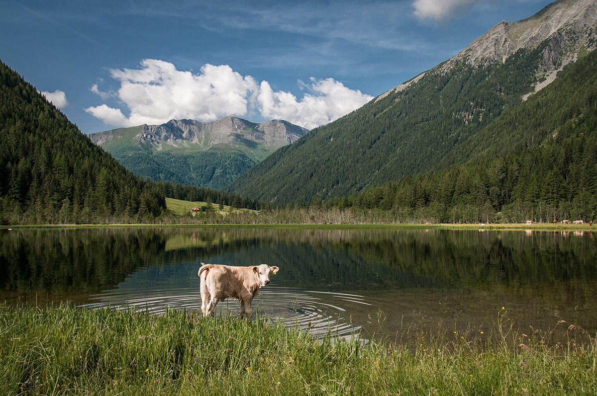 Juni 2012, Seebachtal