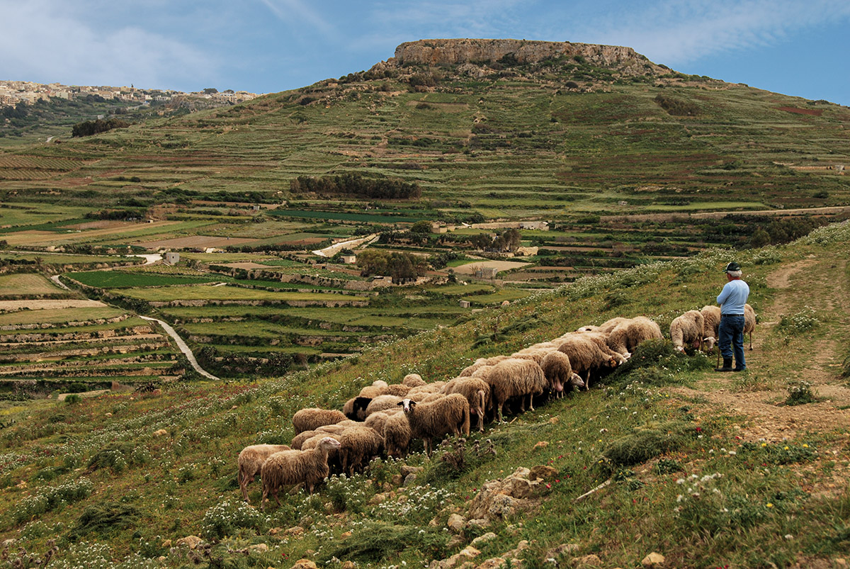 in den Bergen auf Gozo