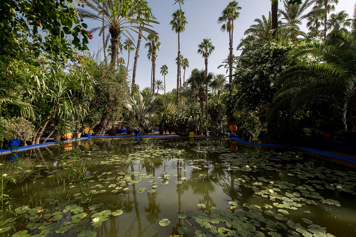 Jardin Majorelle