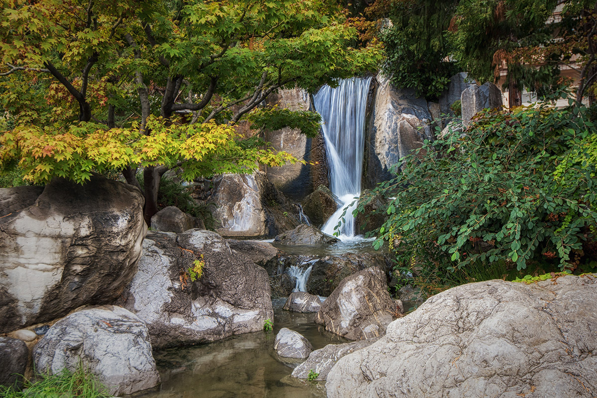 im japanischen Garten