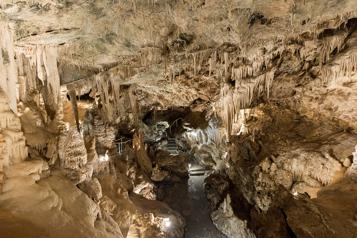 die Tropfsteinhöhle im exotischen Garten