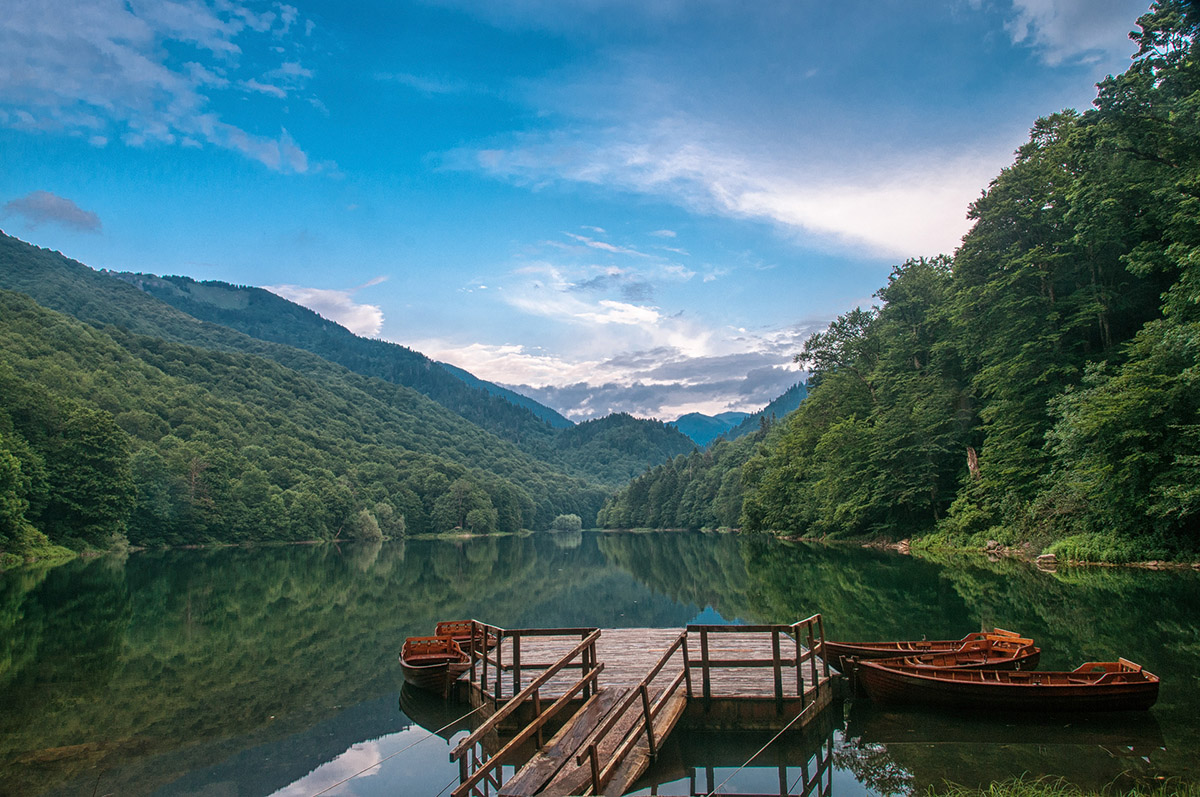 im Biogradska gora Nationalpark