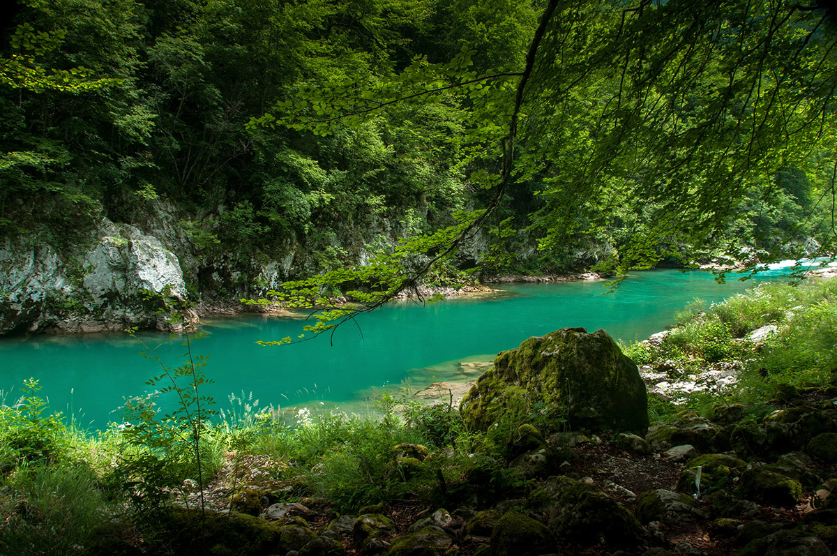Tara-Schlucht