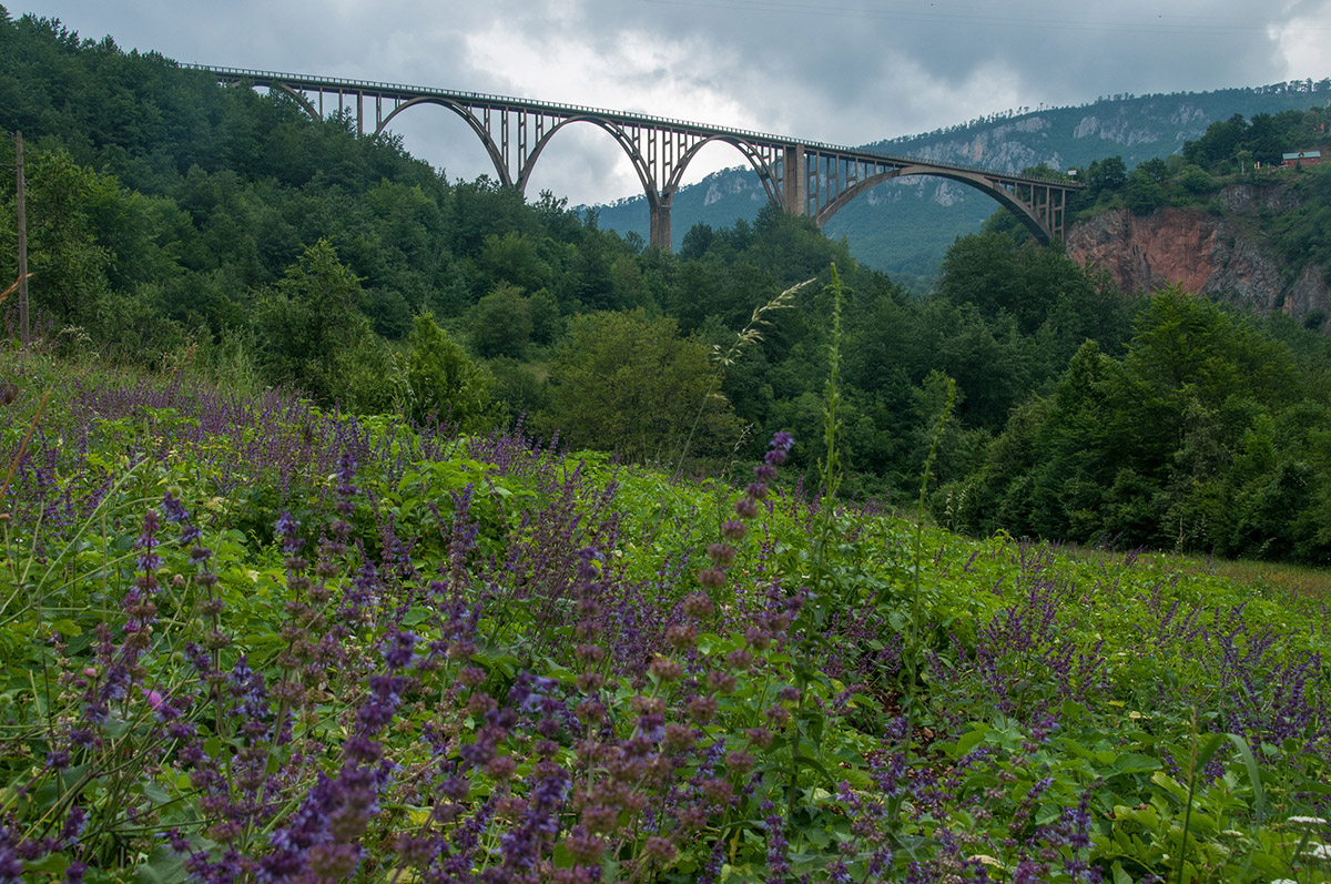 Brücke über die Tara-Schlucht
