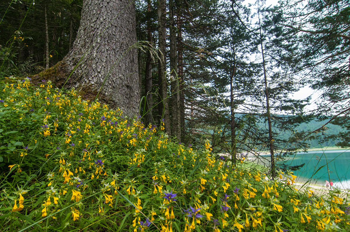 Durmitor Nationalpark