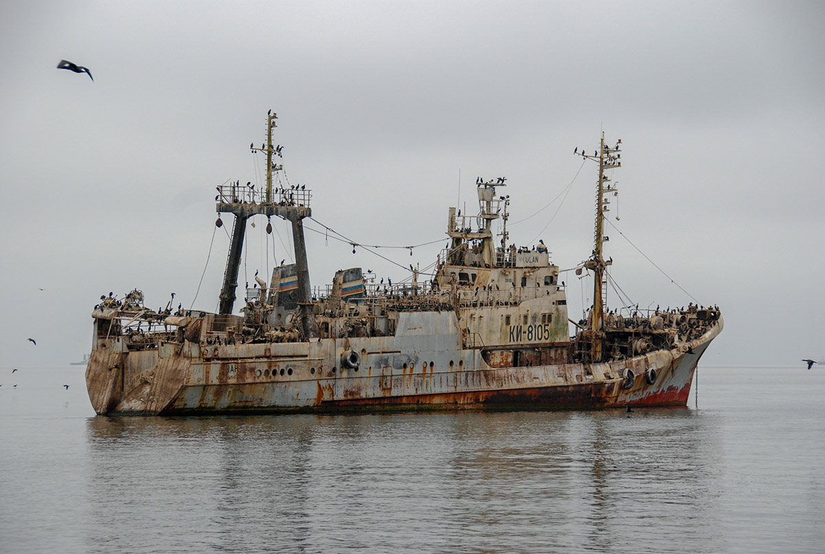 Schiffswrack in der Walvis Bay