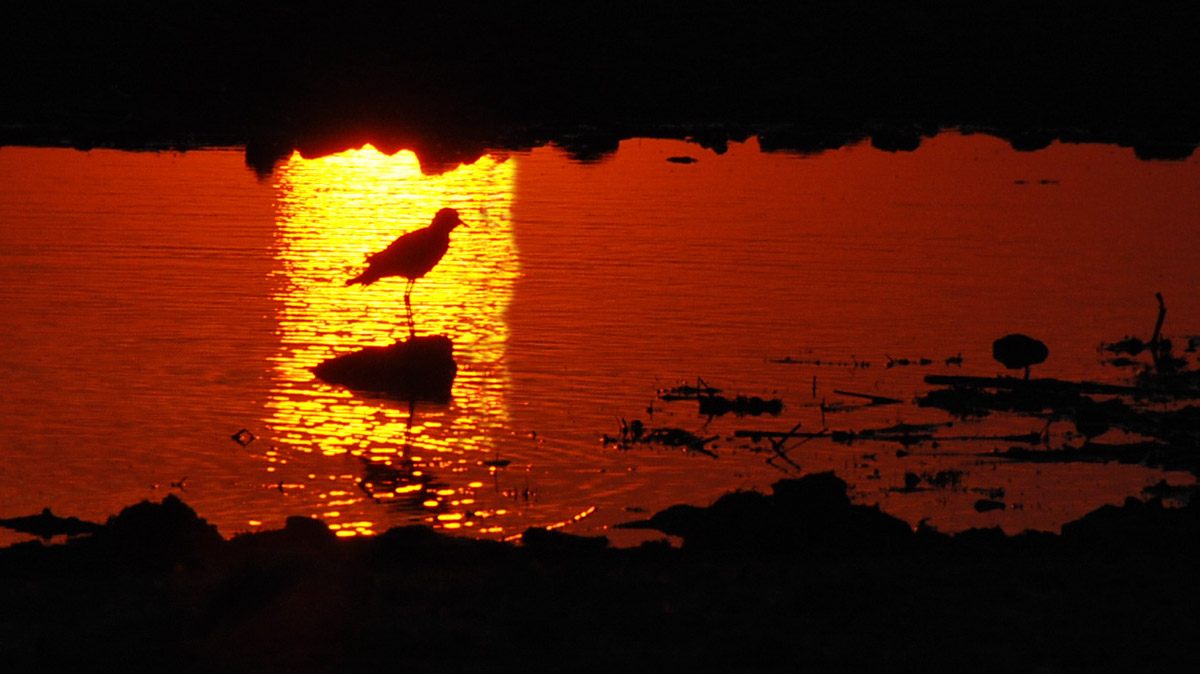 Sonnenuntergang im Etosha Nationalpark
