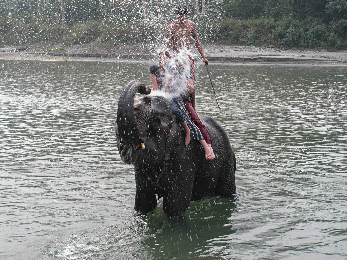 Elefanten-Dusche