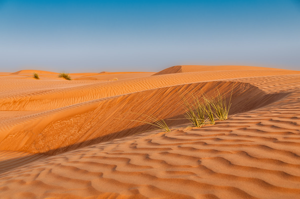 Wahiba Sands