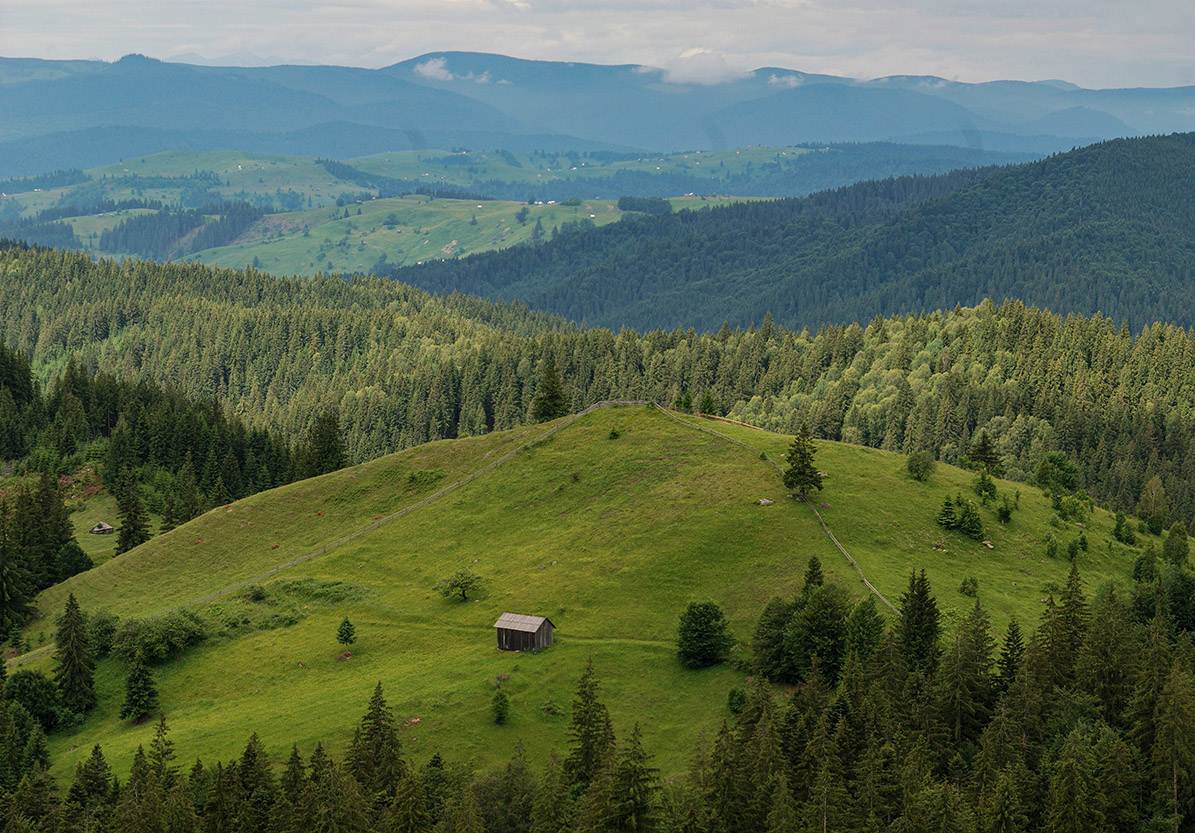 Blick in die Bukowina