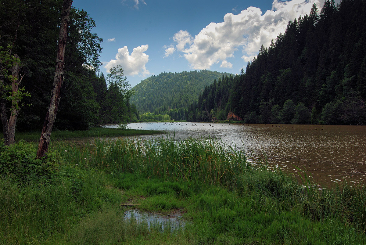 der "rote See"