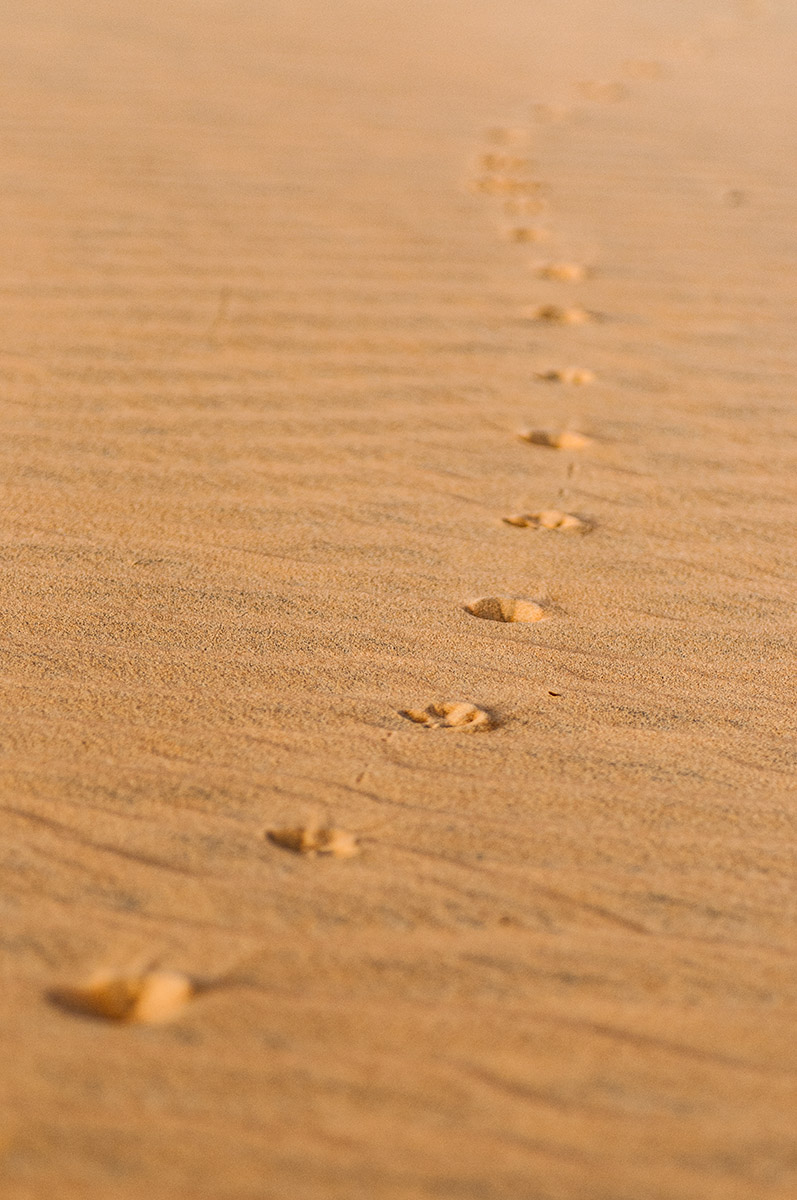 Spuren im Sand