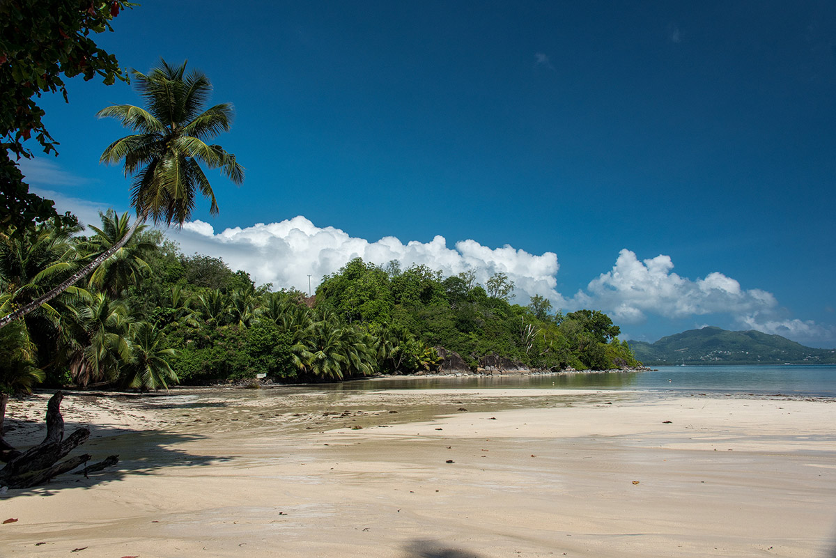 Cerf Island