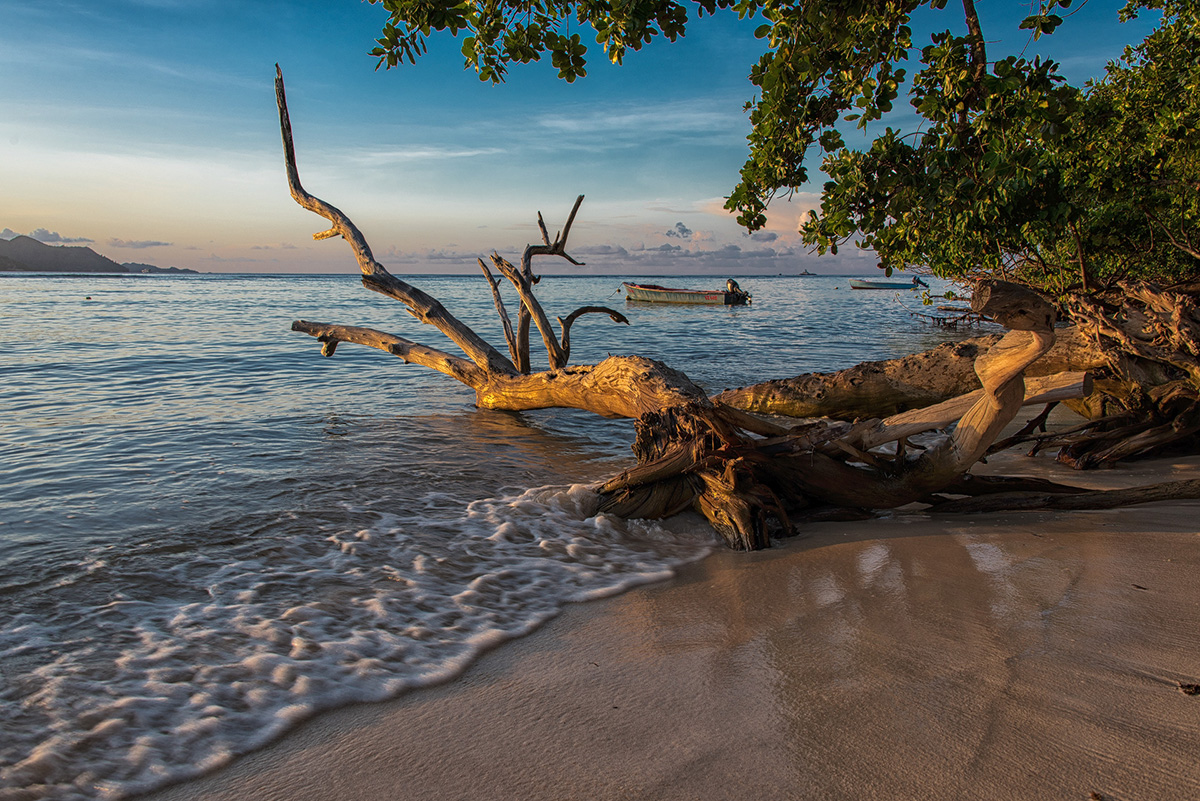 Anse Reunion, La Digue