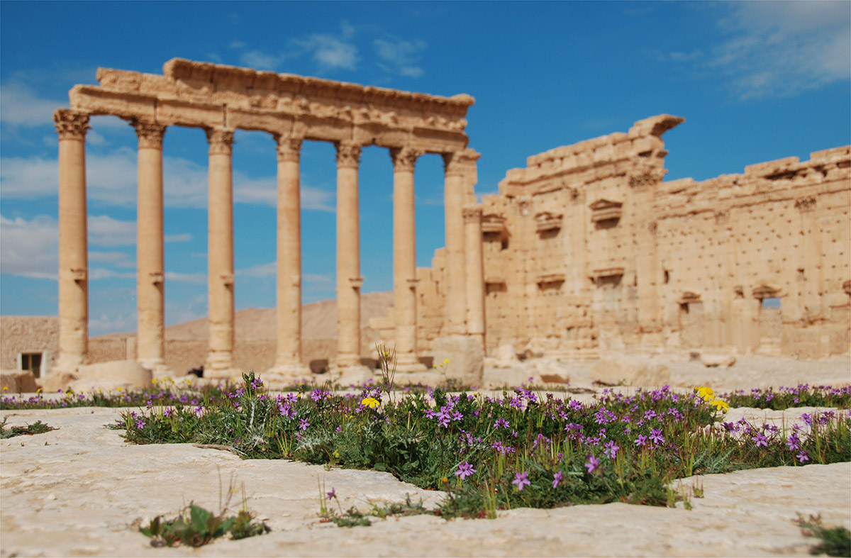 Palmyra
