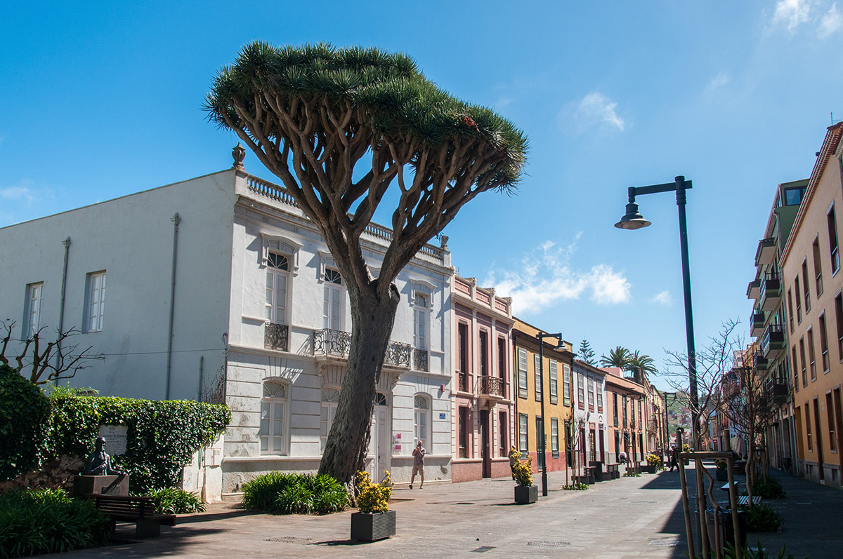 San Cristóbal de La Laguna 