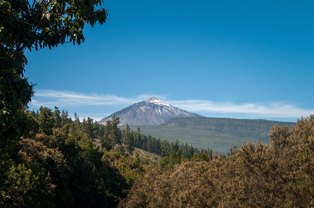 Blick auf den Teide