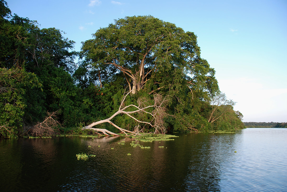 Lake Mburo