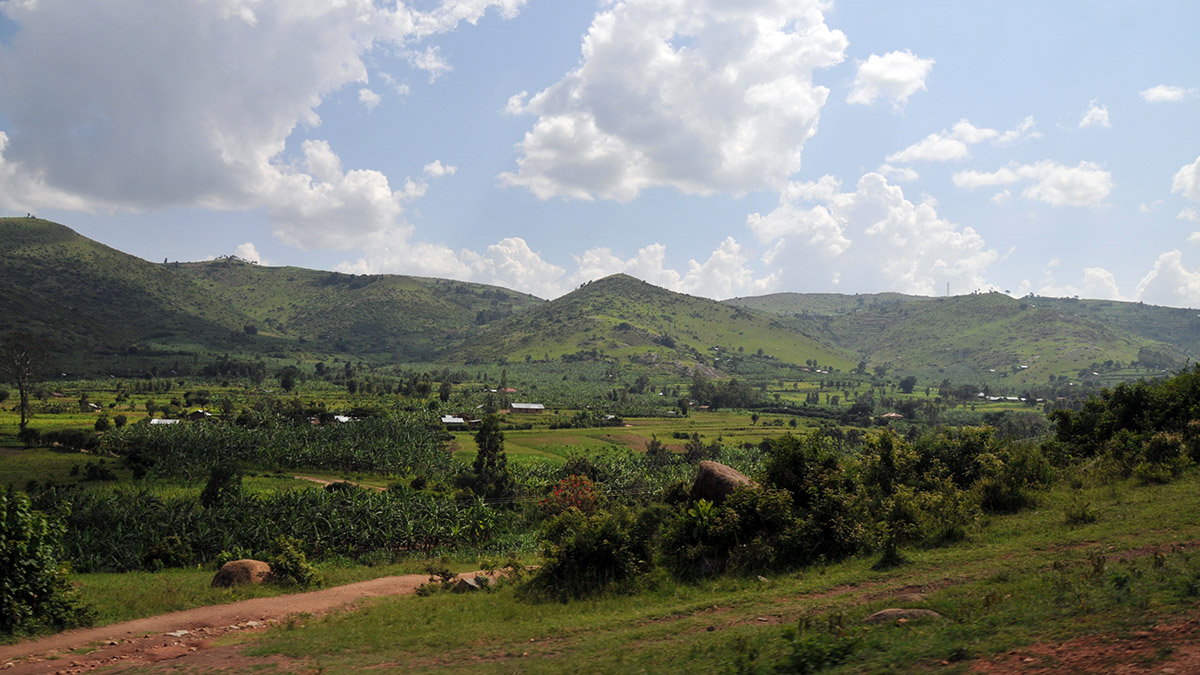 Landschaft Ugandas