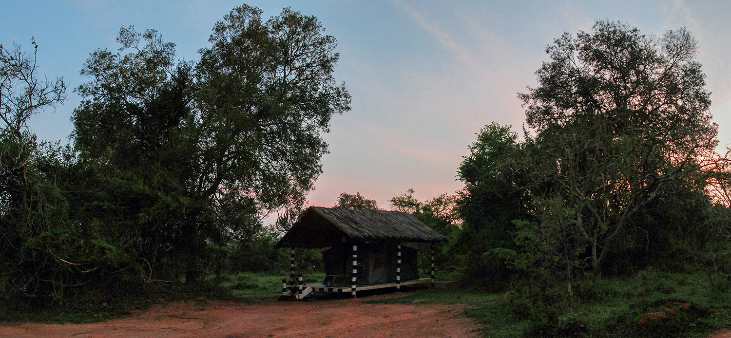 mein Zelt am Lake Mburo am frühen Morgen