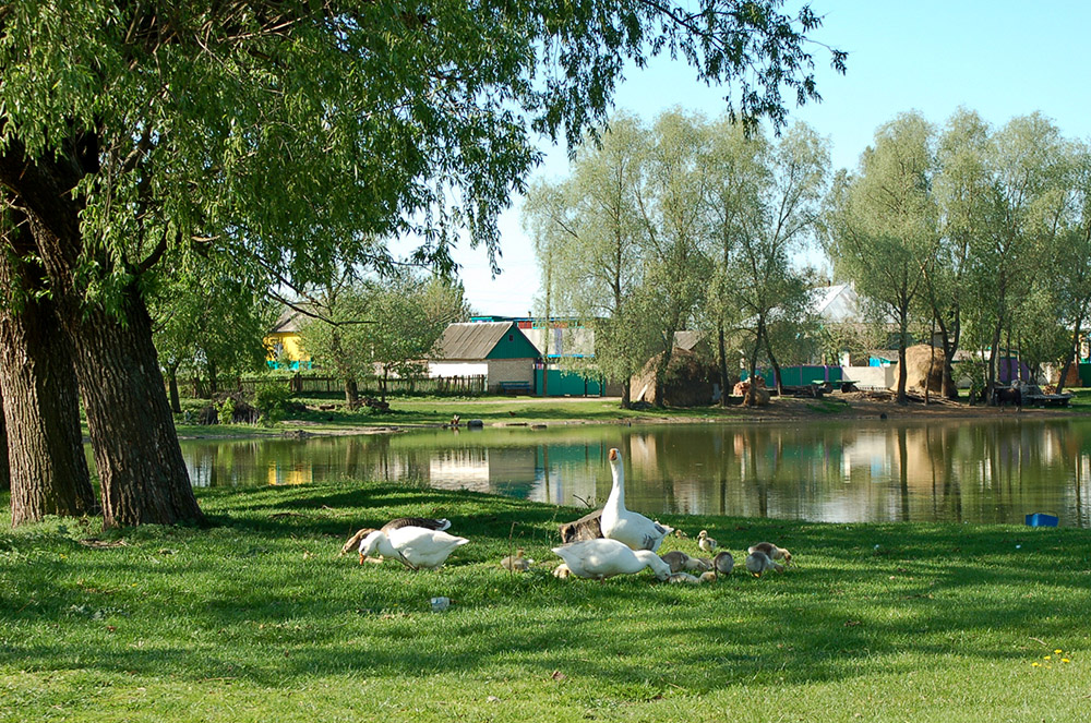 Idylle am Dorfanger