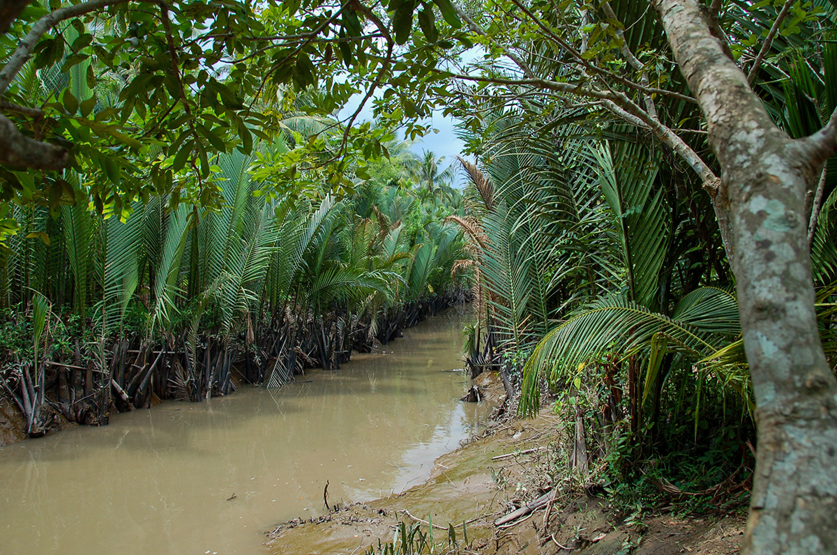 Bootsfahrt in den Seitearmen des Mekong